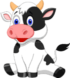 cow1